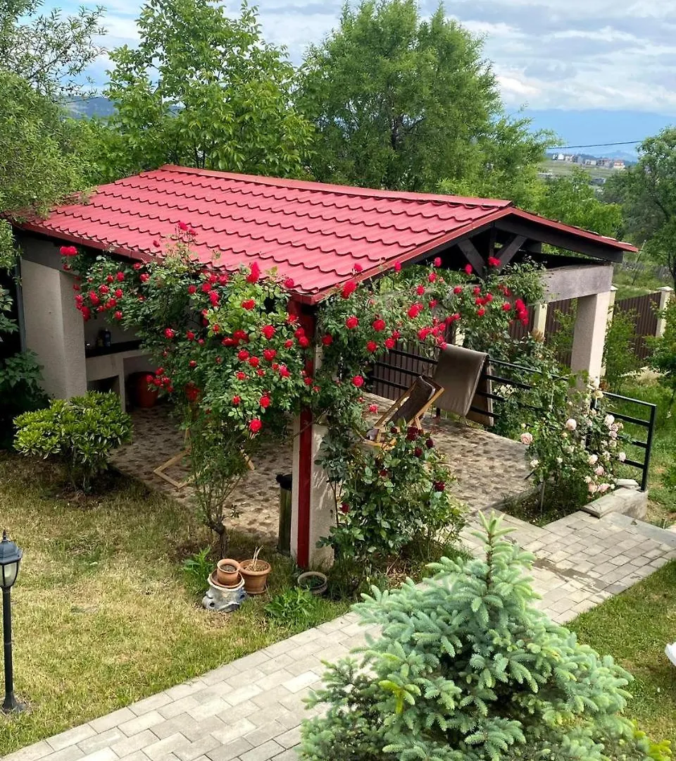 Viewside Villa Tbilisi Georgia